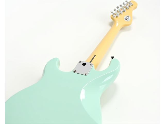 Fender Stratocaster American Professional II